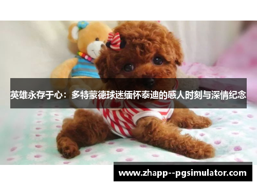 英雄永存于心：多特蒙德球迷缅怀泰迪的感人时刻与深情纪念