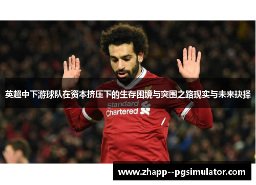 英超中下游球队在资本挤压下的生存困境与突围之路现实与未来抉择