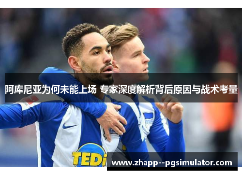阿库尼亚为何未能上场 专家深度解析背后原因与战术考量