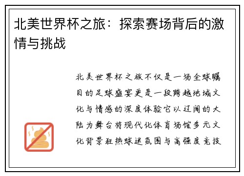 北美世界杯之旅：探索赛场背后的激情与挑战